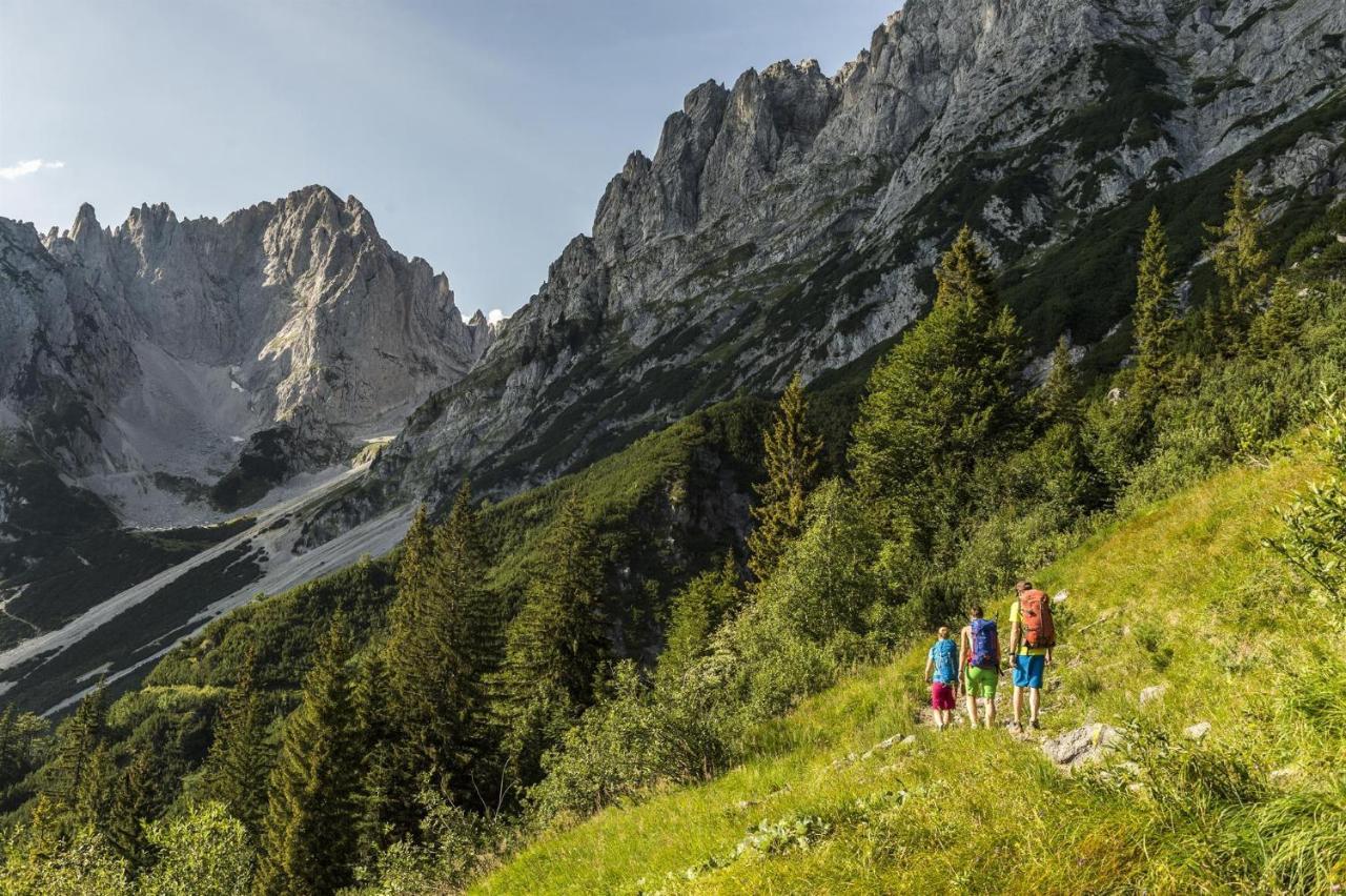 Trattenbachhof Scheffau am Wilden Kaiser Εξωτερικό φωτογραφία