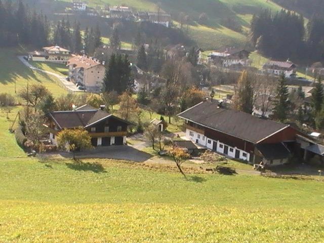 Trattenbachhof Scheffau am Wilden Kaiser Εξωτερικό φωτογραφία